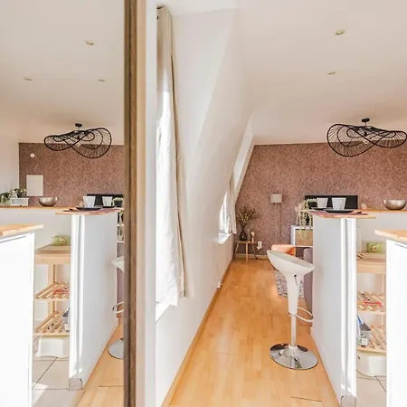 公寓 Au Coeur De - Tulipe 兰斯