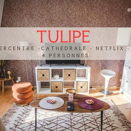 Апартаменты Au Coeur De - Tulipe